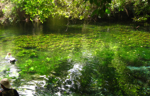 Природный аквариум (Aquario Natural) – фотографии Бразилии