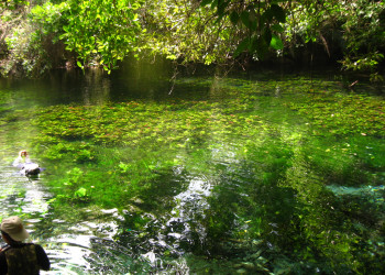 Природный аквариум (Aquario Natural) – фотографии Бразилии