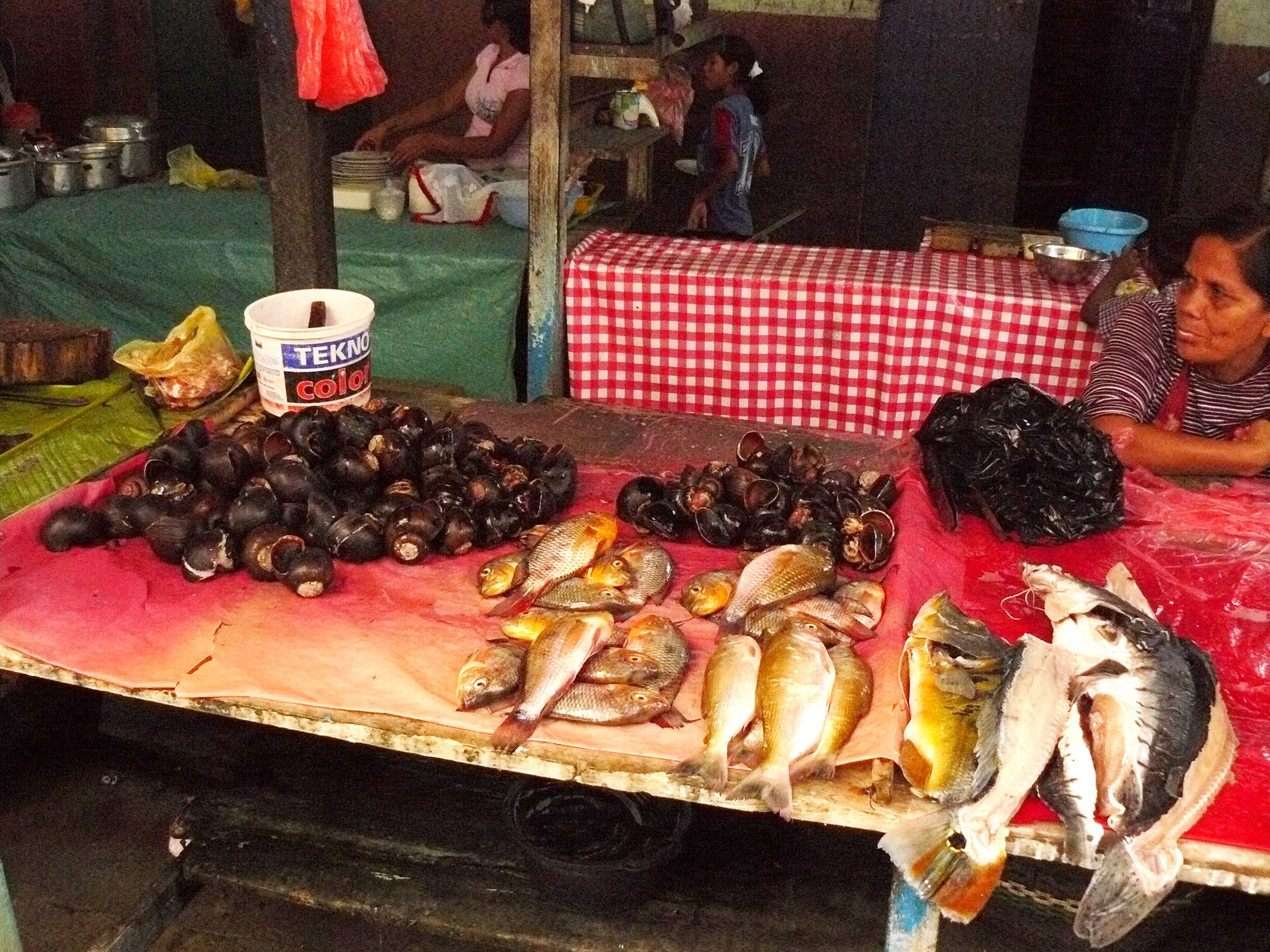 Рынок Белена (Икитос) – фотографии Перу