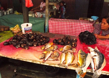 Рынок Белена (Икитос) – фотографии Перу