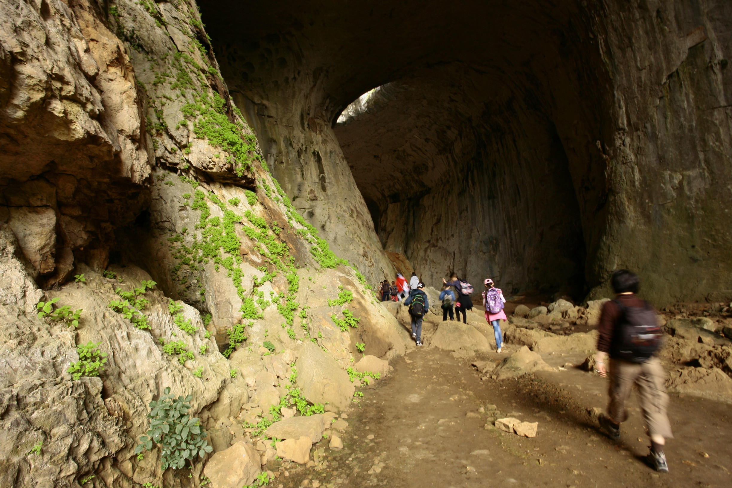 Пещера Проходна 9 – фотографии Болгарии