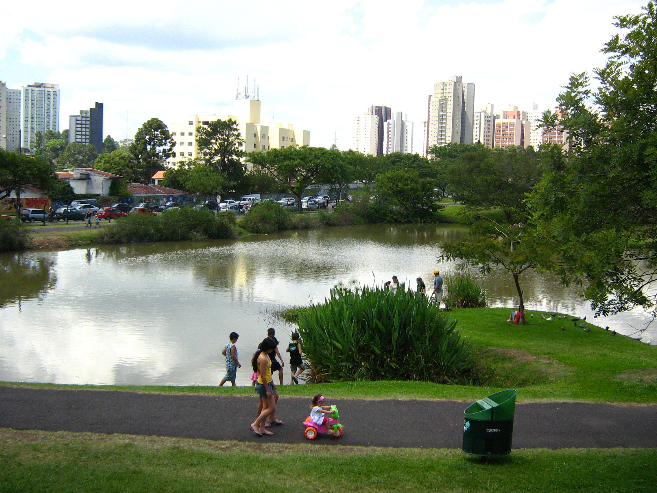 Ботанический сад Куритибы – фотографии Бразилии