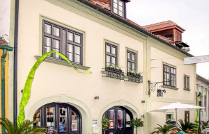 Кунстхаус. Дом искусства. Руст. Австрия – фотографии Австрии