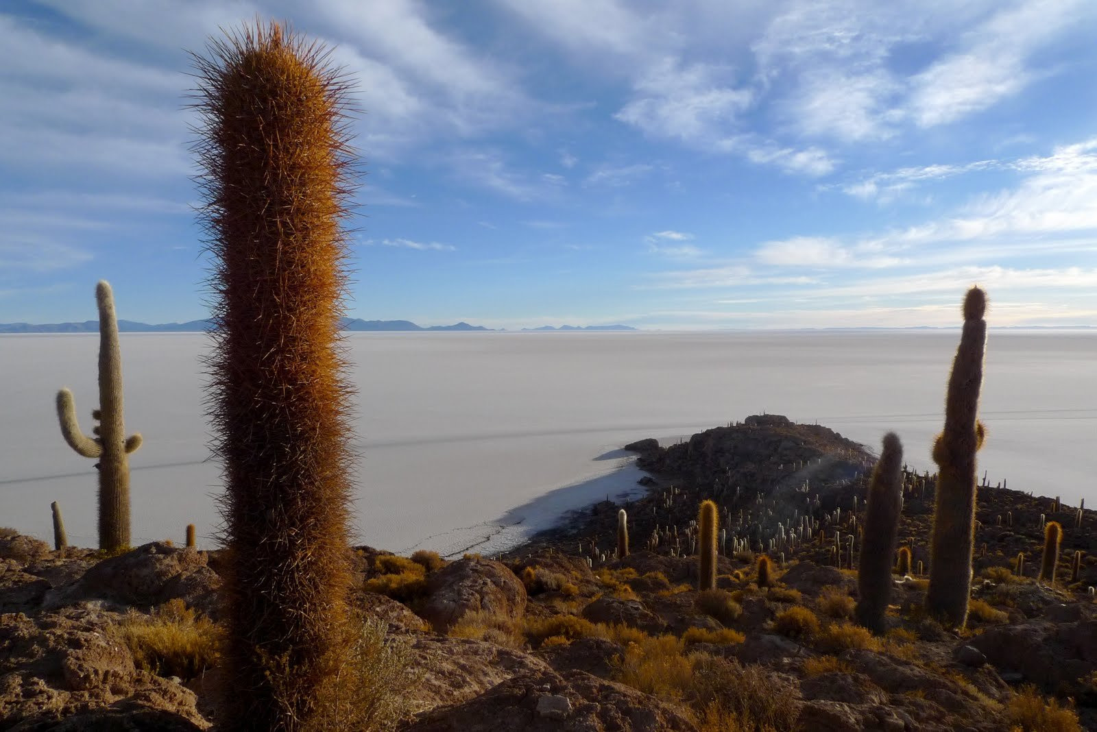 Солончак Уюни – фотографии Боливии