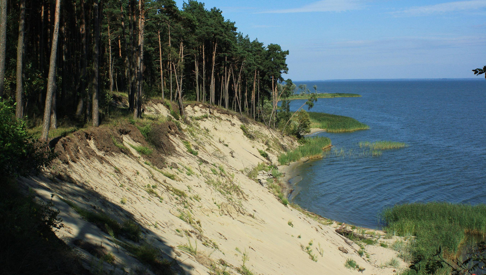 Балтийская коса, западный берег – фотографии России