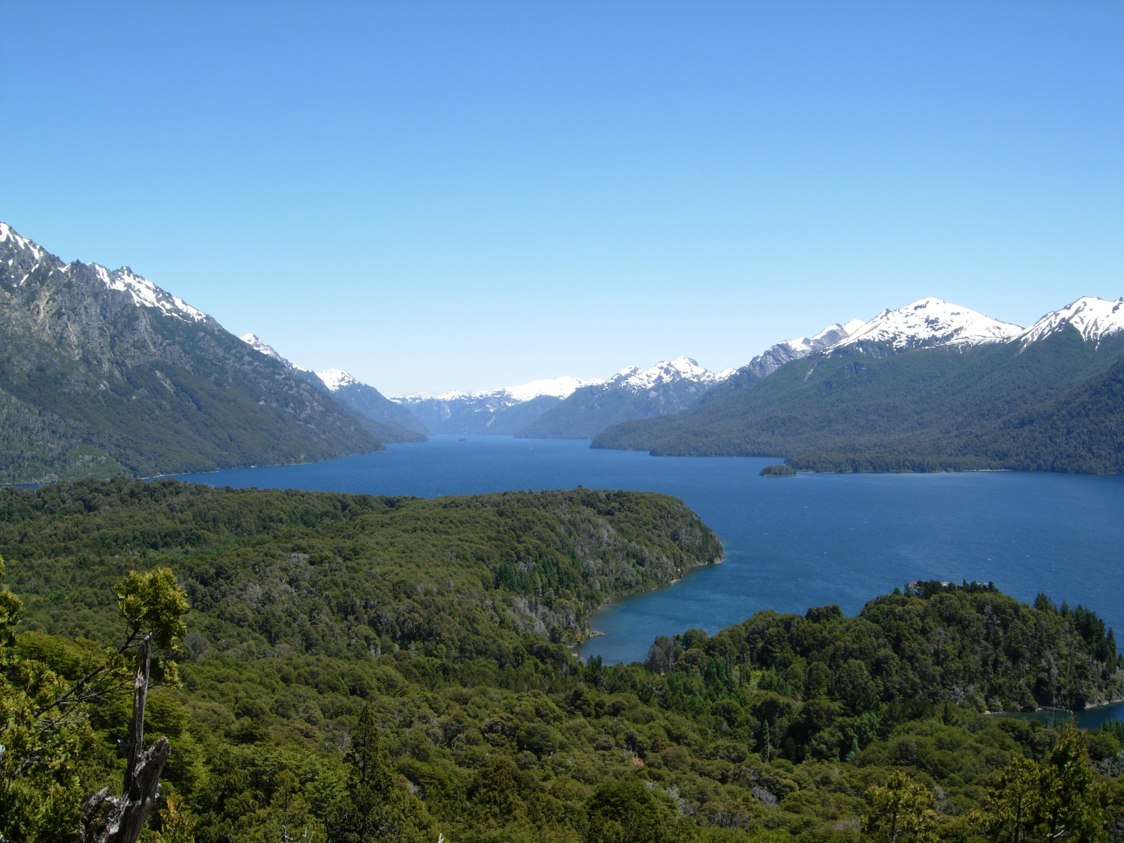 Холмы и лес. Барилоче. Аргентина. – фотографии Аргентины