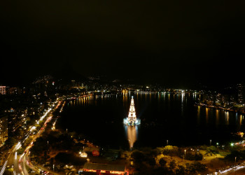 Рождественская Ель плавающая по лагуне Родриго-де-Фрейтас  – фотографии Бразилии