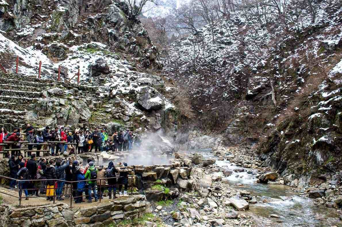 Парк обезьян Джигокудани лучше всего посещать до середины дня, когда кормятся и купаются приматы – фотографии Японии