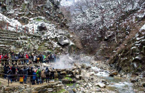 Парк обезьян Джигокудани лучше всего посещать до середины дня, когда кормятся и купаются приматы – фотографии Японии