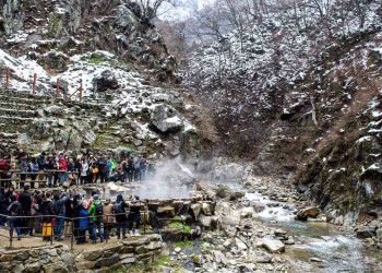 Парк обезьян Джигокудани лучше всего посещать до середины дня, когда кормятся и купаются приматы – фотографии Японии