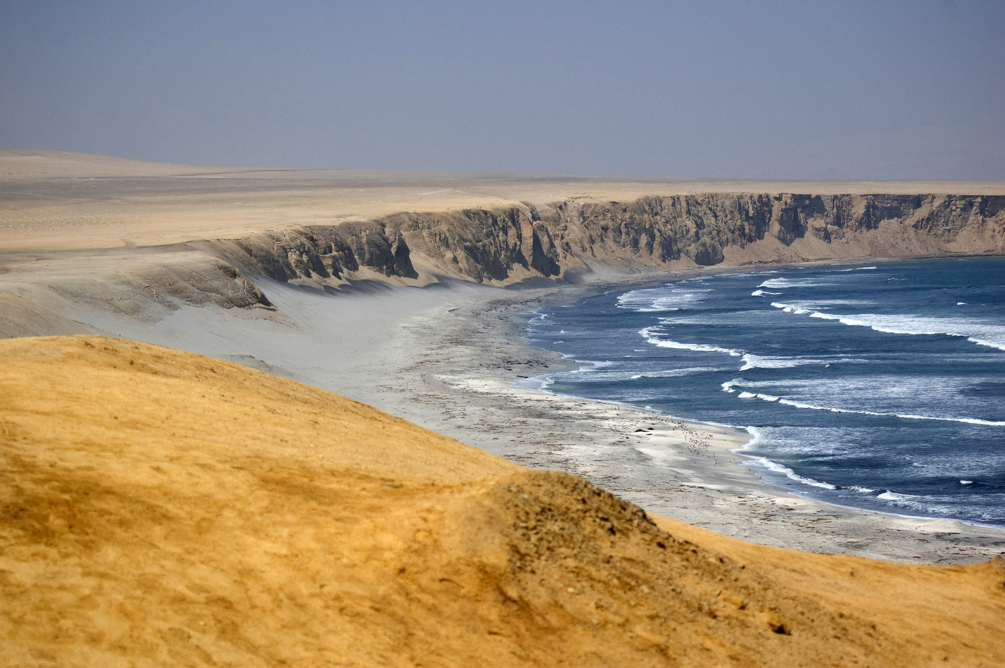 Заповедник Паракас – фотографии Перу