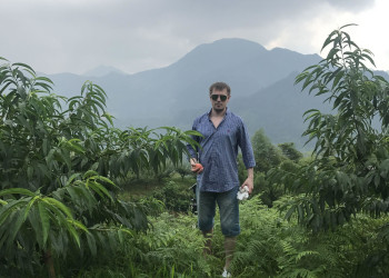 Где-то в персиковых рощах – фотографии Китая