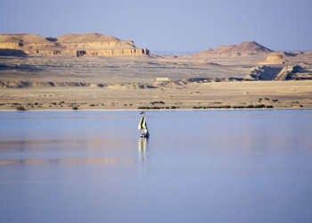 Озеро Карун 5 – фотографии Египта