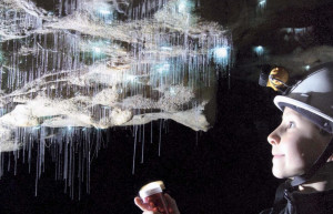 Сейчас многие из гидов в пещерах Вайтомо являются потомками первооткрывателей пещер – фотографии Новой Зеландии