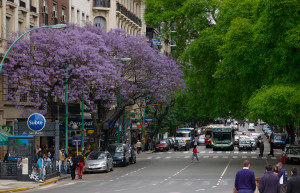 Цветущие улицы. Санта Фе. Аргентина. – фотографии Аргентины