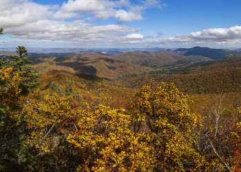 От Амурского залива заповедник Кедровая Падь на Дальнем Востоке отделяет заболоченная равнина – фотографии России