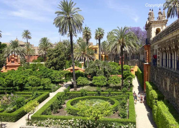 Севильский королевский дворец Алькасар в Испании – фотографии Испании