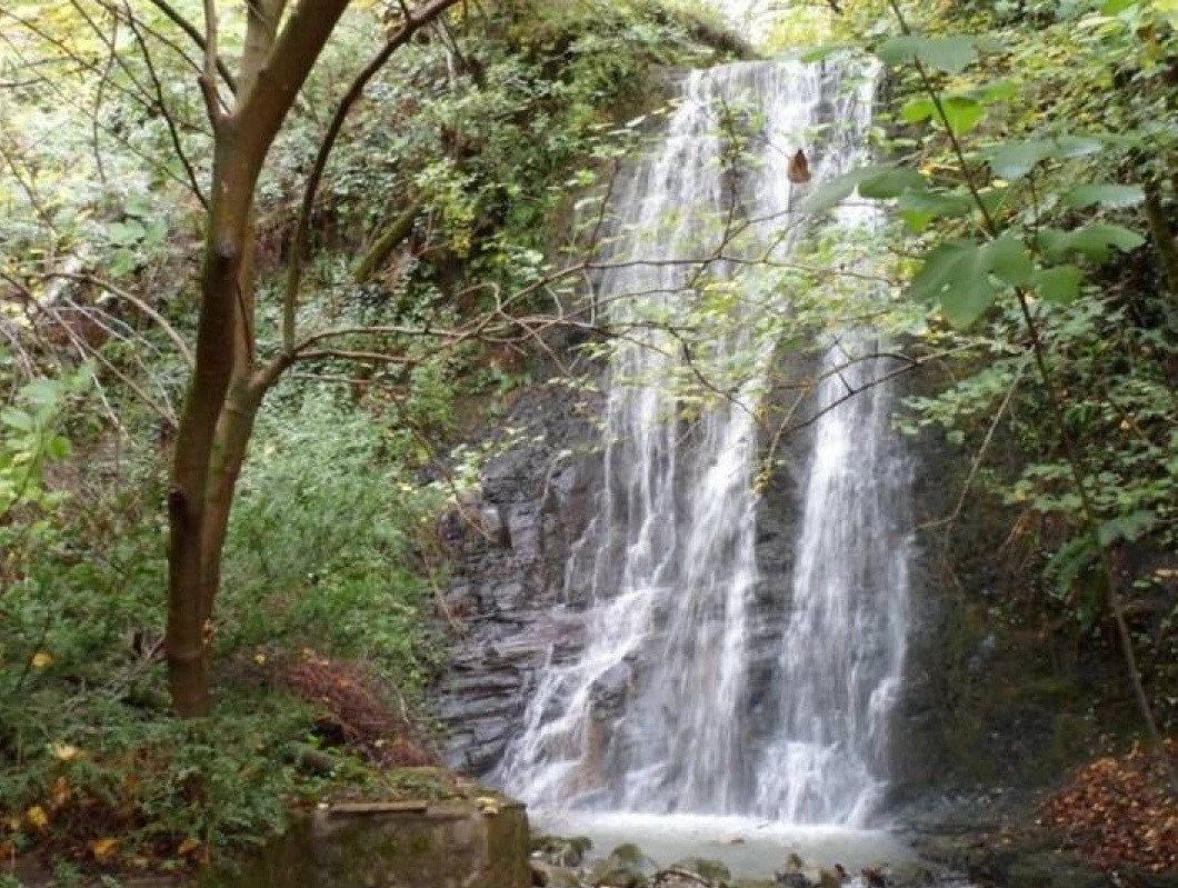 Водопад в лесу. Гячрипш – фотографии Абхазии