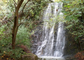 Водопад в лесу. Гячрипш – фотографии Абхазии