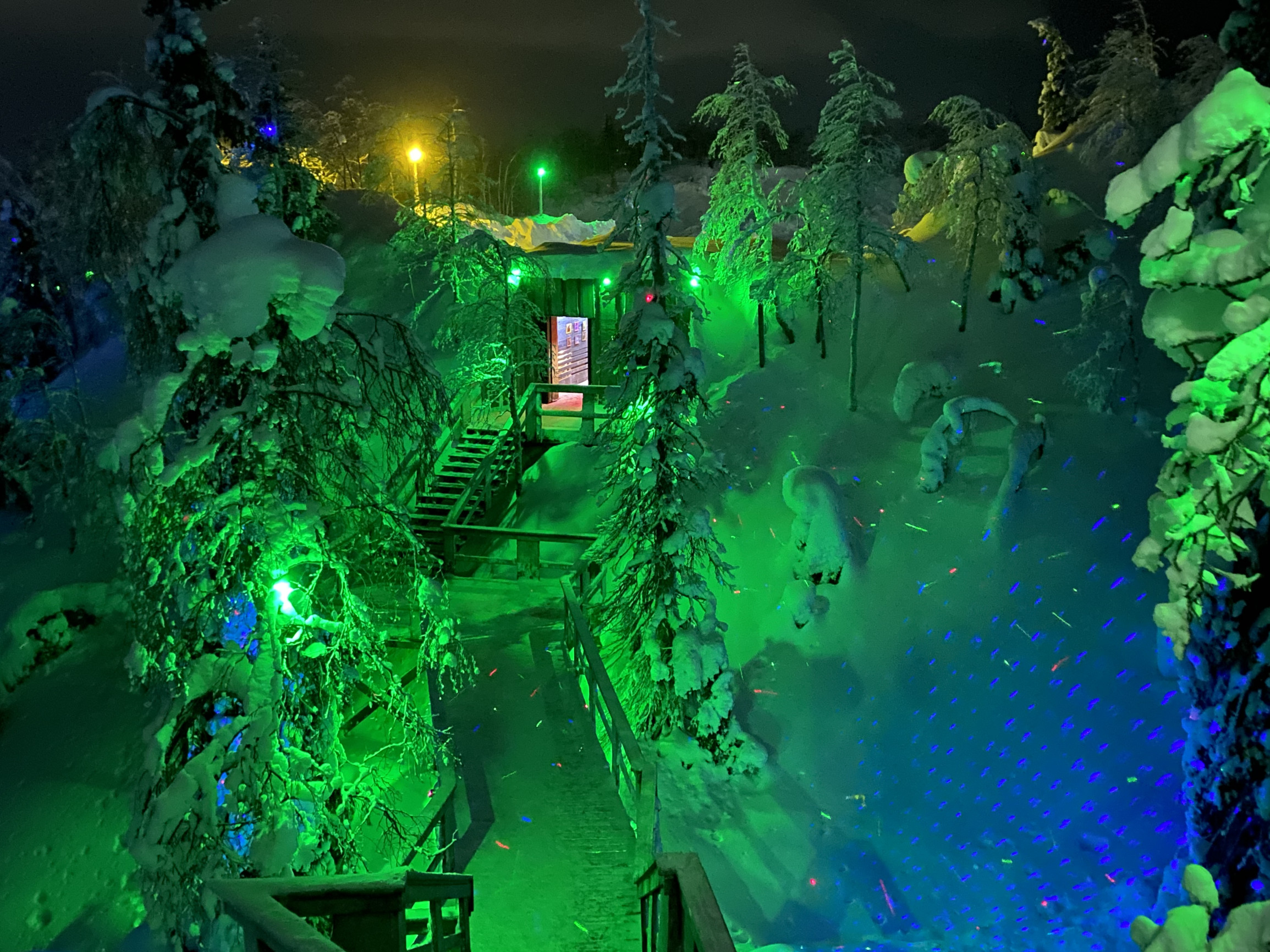 Территория арт парка «Таинственный лес», Кировск, Мурманская об – фотографии России