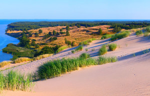 Куршская коса 13 – фотографии России