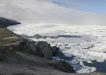 Остров Врангеля 8 – фотографии России