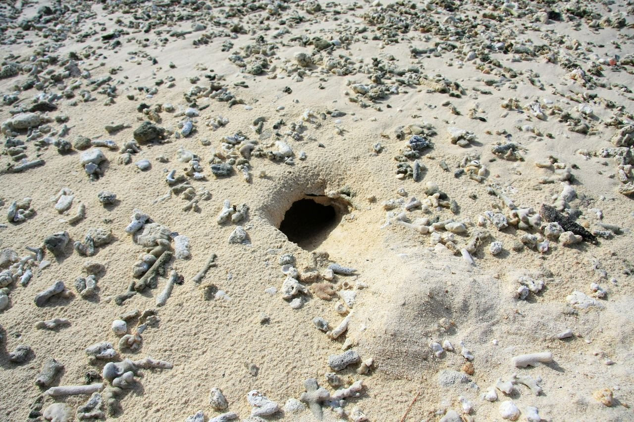 Сайпан остров, Северные Марианские острова, фото № 73186 – фотографии Северных Марианских островов