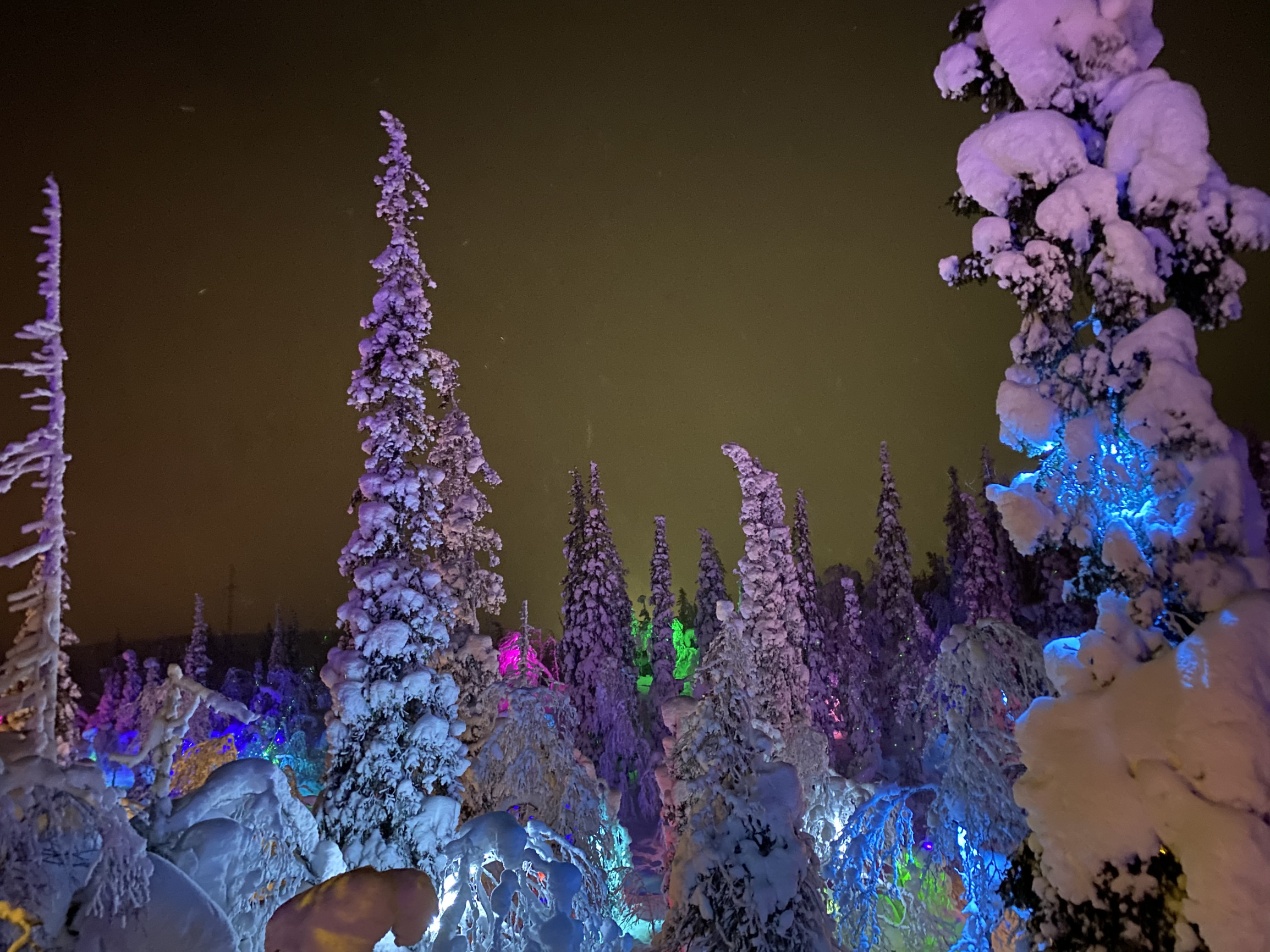 Парк «Таинственный лес» в Кировске, Мурманская область – фотографии России