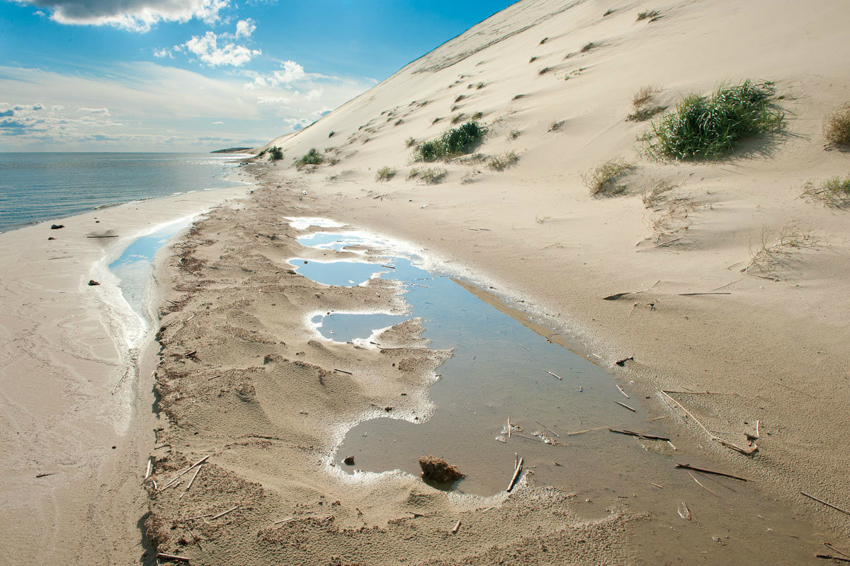 Дюны и пляжи на Куршской косе в Калининградской области соседствуют с хвойными лесами и лугами – фотографии России
