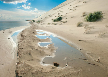 Дюны и пляжи на Куршской косе в Калининградской области соседствуют с хвойными лесами и лугами – фотографии России