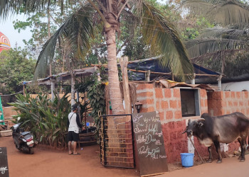 Арамболь – фотографии Индии