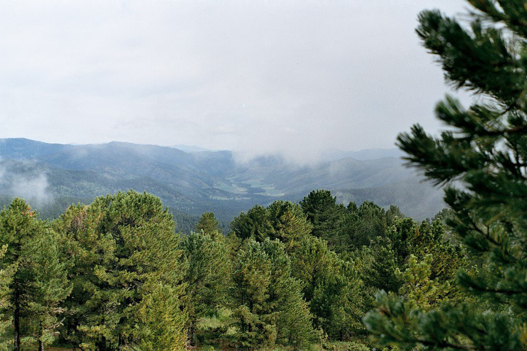 Семинский перевал – фотографии России