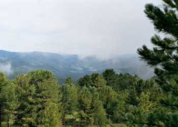 Семинский перевал – фотографии России