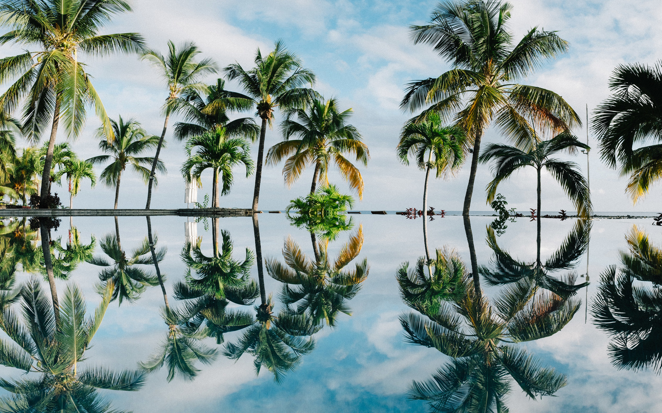 Зеркальное отображение в воде пальм. Маврикий – фотографии Маврикия