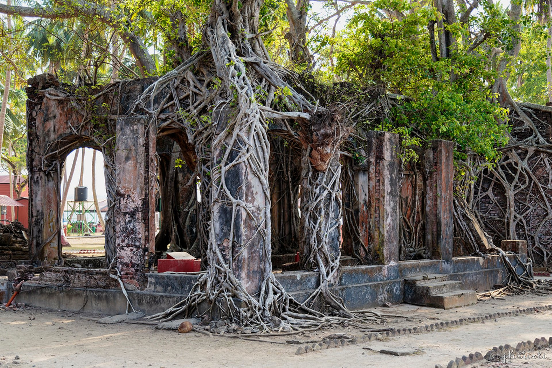 Остров Росс между Индией и Мьянмой – фотографии Индии