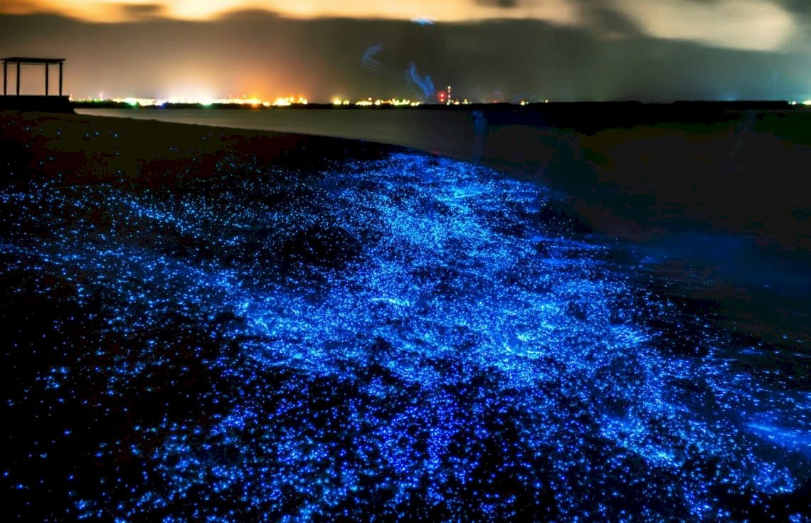 Светящийся пляж на острове Ваадху, Мальдивах – фотографии Мальдивских островов