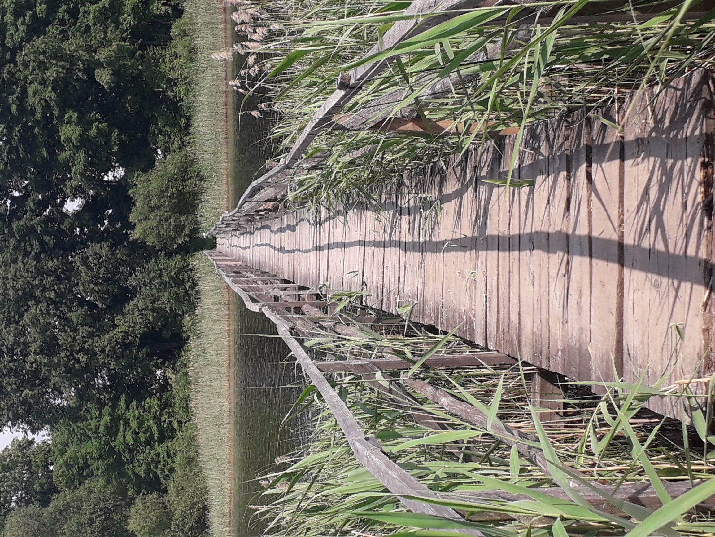 Озера  – фотографии Беларуси