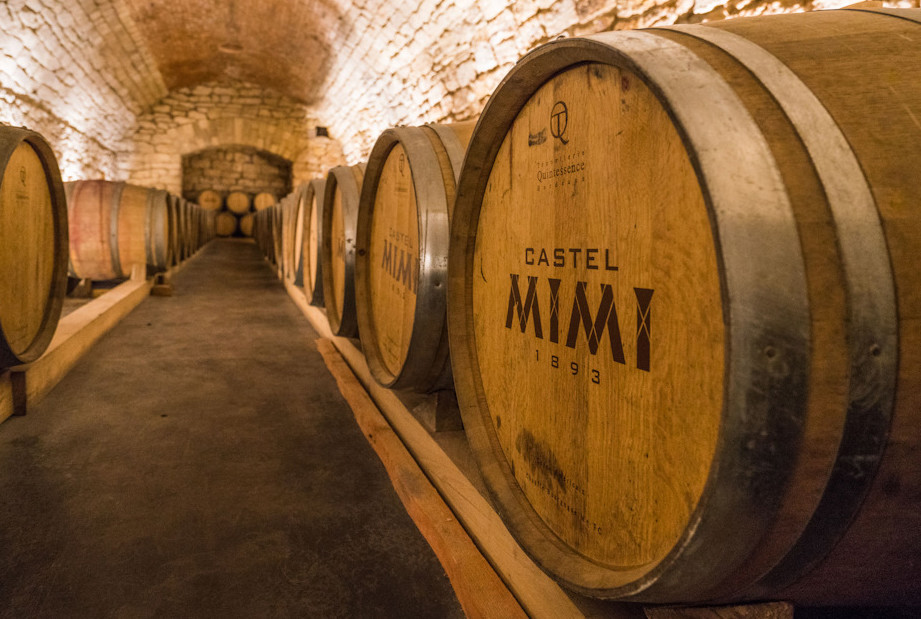 Замок Мими для ценителей молдавских вин – фотографии Молдовы