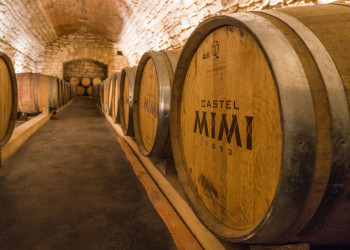 Замок Мими для ценителей молдавских вин – фотографии Молдовы