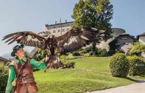 Замок Хоэнверфен 8 – фотографии Австрии