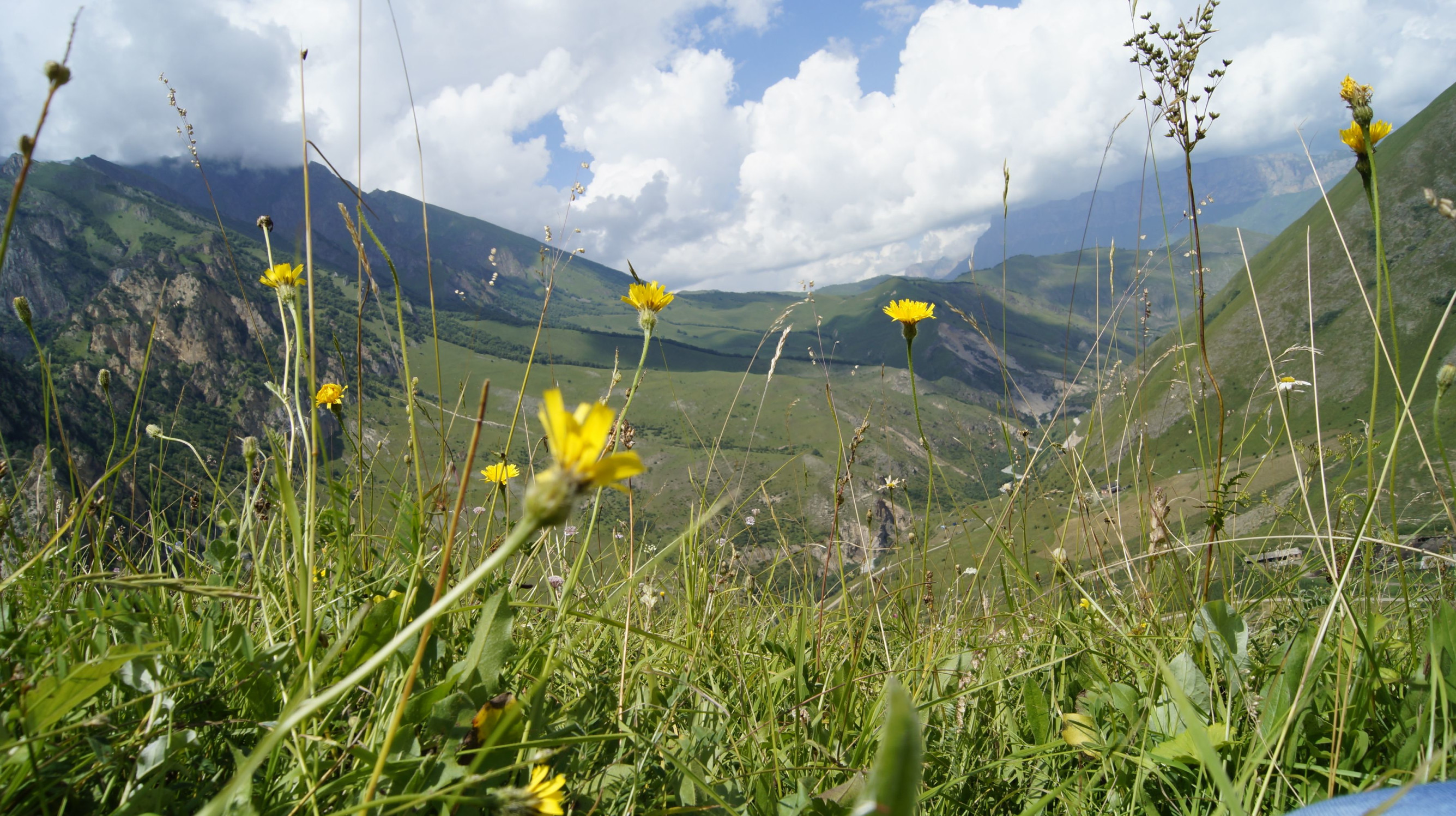 Природа Чегем – фотографии России