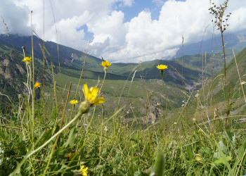 Природа Чегем – фотографии России