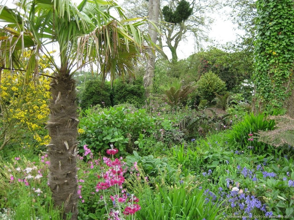 Затерянные сады Хелигана Англии разрастались вокруг имения, построенного в 16 столетии – фотографии Великобритании