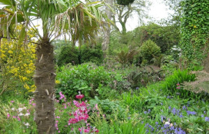 Затерянные сады Хелигана Англии разрастались вокруг имения, построенного в 16 столетии – фотографии Великобритании