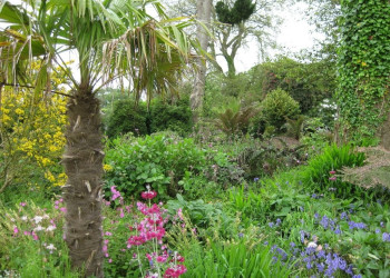 Затерянные сады Хелигана Англии разрастались вокруг имения, построенного в 16 столетии – фотографии Великобритании