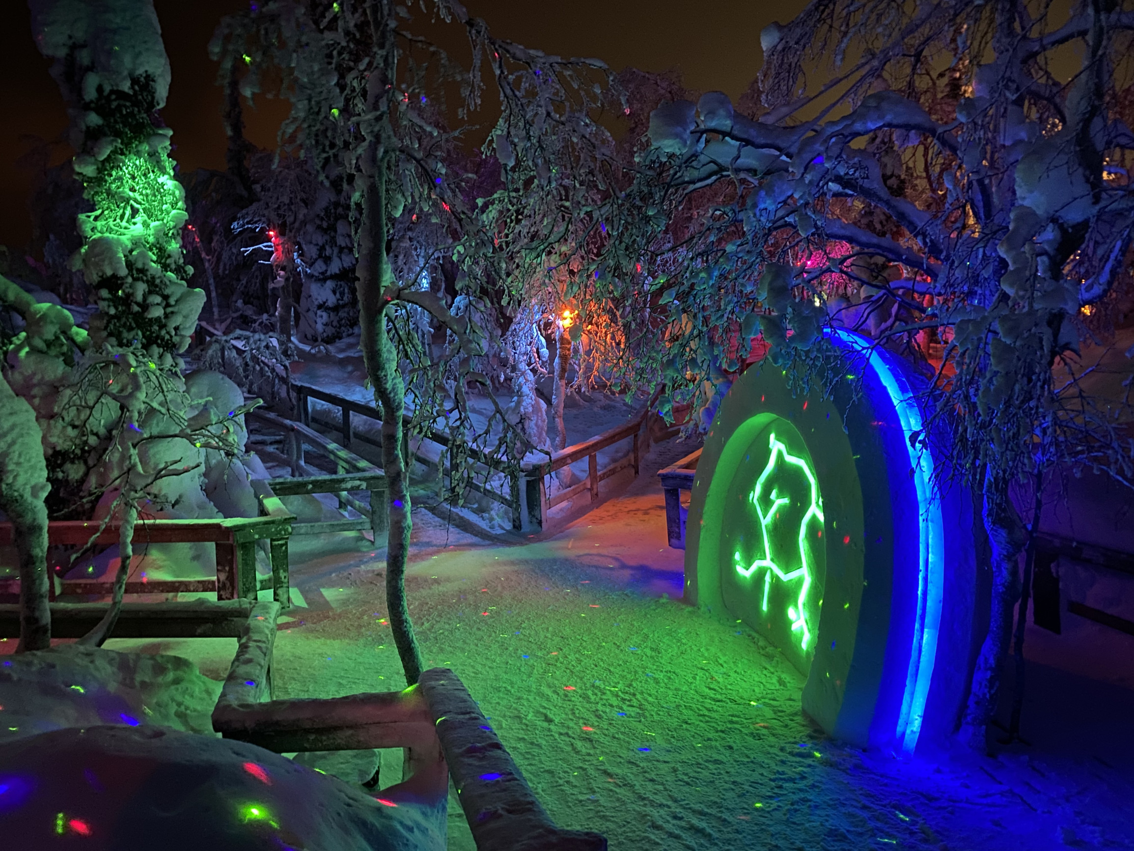 Тропинки в парке «Таинственный лес» – фотографии России