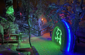 Тропинки в парке «Таинственный лес» – фотографии России