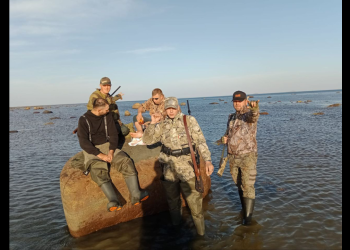 Белое море, прилив – фотографии России