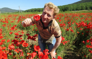 Маки – фотографии России