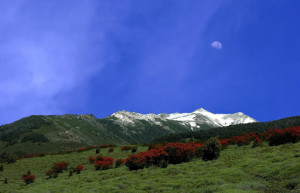 Голубое небо и горы. Ланин национальный парк. Аргентина. – фотографии Аргентины